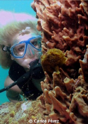 Froggie view of a Blondie diver At Crash Boat Beach Aguad... by Carlos Pérez 
